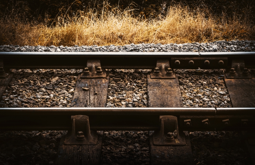 brown metal train rail on brown grass