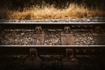 brown metal train rail on brown grass
